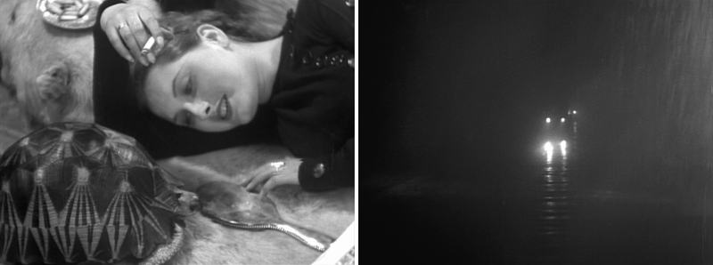 Night At The Crossroads (Images: Screengrab)